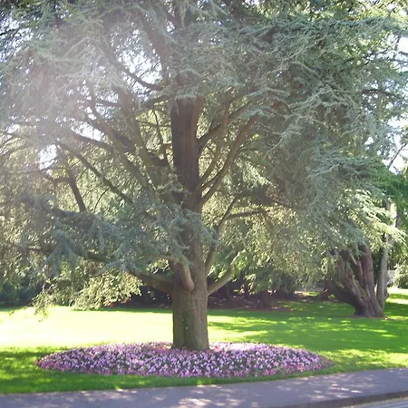 Brookfield Holiday Village Cork